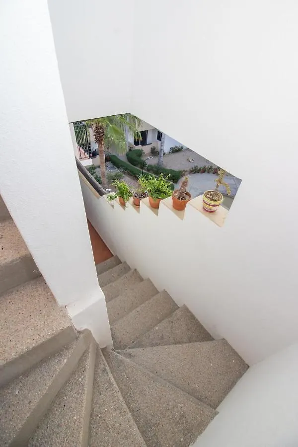 Apartment Your Cabo Penthouse Escape Walk To Sand & Sea! Cabo San Lucas Mexico